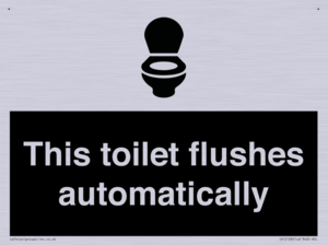 This toilet flushes automatically